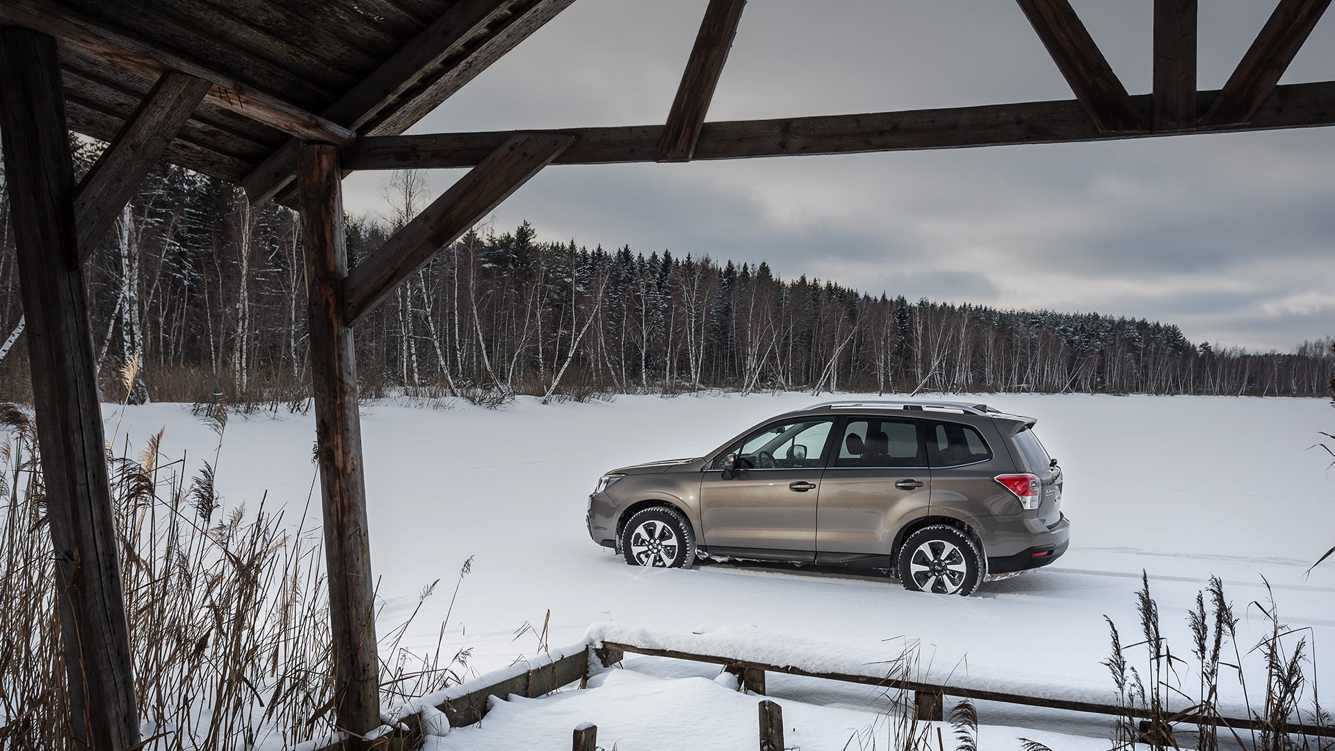 Длительный тест Subaru Forester: стоимость владения, итоги и выводы —  Тест-драйв — Motor