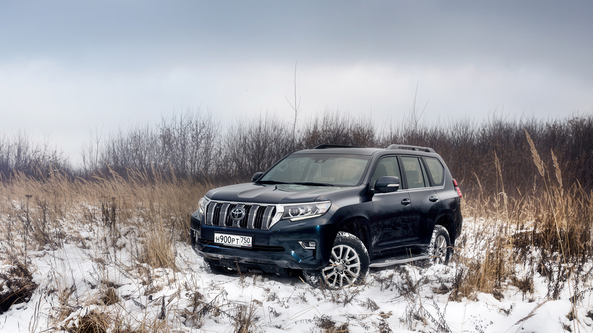 Проверяем, пошло ли обновление на пользу Toyota Land Cruiser Prado —  Тест-драйв — Motor