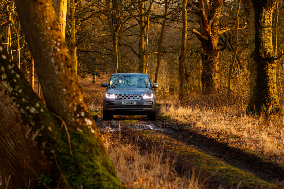 Для всех обновленных Range Rover доступно четыре вида фар. Начинается все с обычных светодиодных, дальше идут адаптивные, потом «пиксельные», у которых светодиодов больше, а световой пучок формируется точнее, ну а самый топ – это те же «пиксели», только с лазерной подсветкой дальнего.