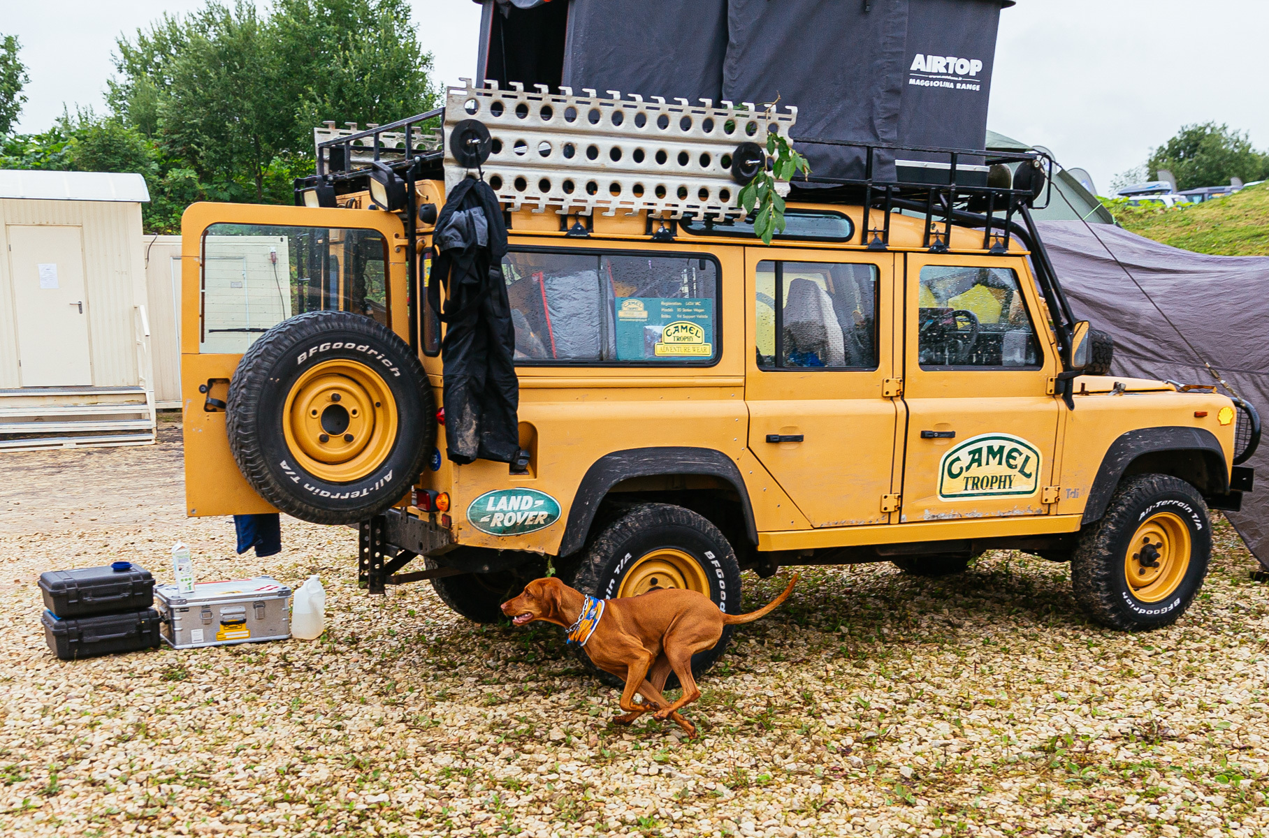 16 экипажей Land Rover воссоединились под Санкт-Петербургом — Фото —  Репортаж — Motor