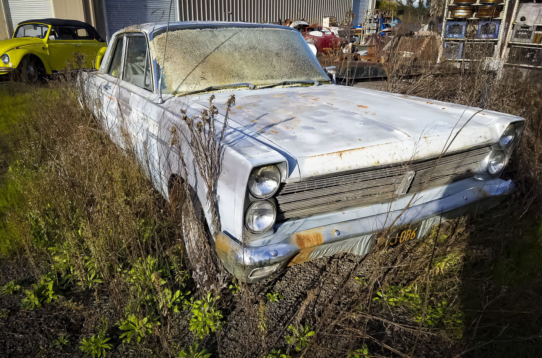 Найденную в поле коллекцию из старых Dodge и Mercury пустят с молотка