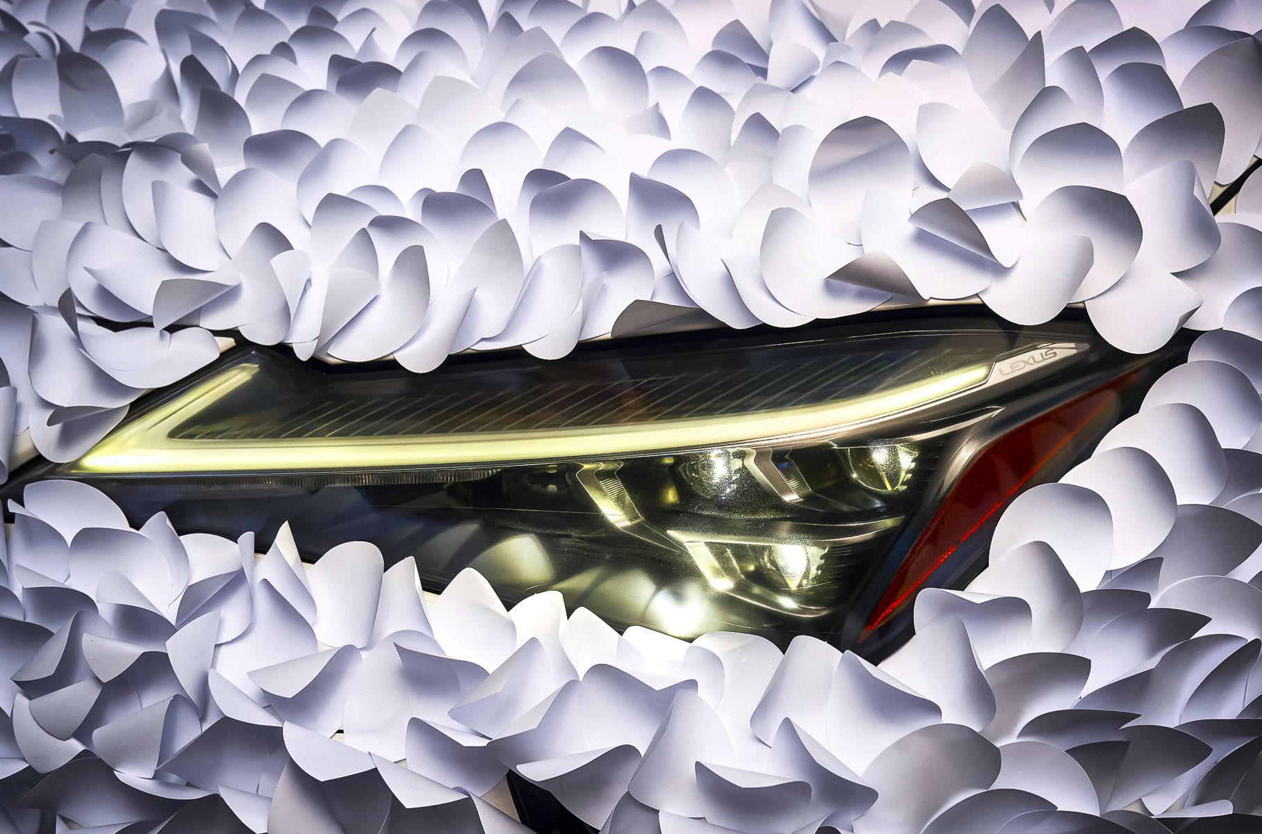 Посмотрите на Lexus UX, покрытый тысячами бумажных лепестков
