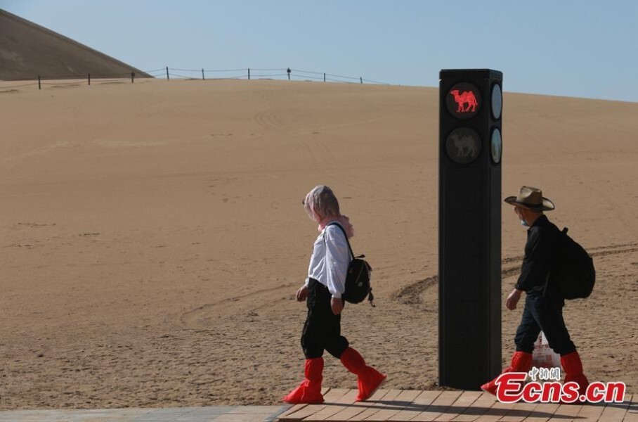 В Китае установили светофор, регулирующий движение верблюдов