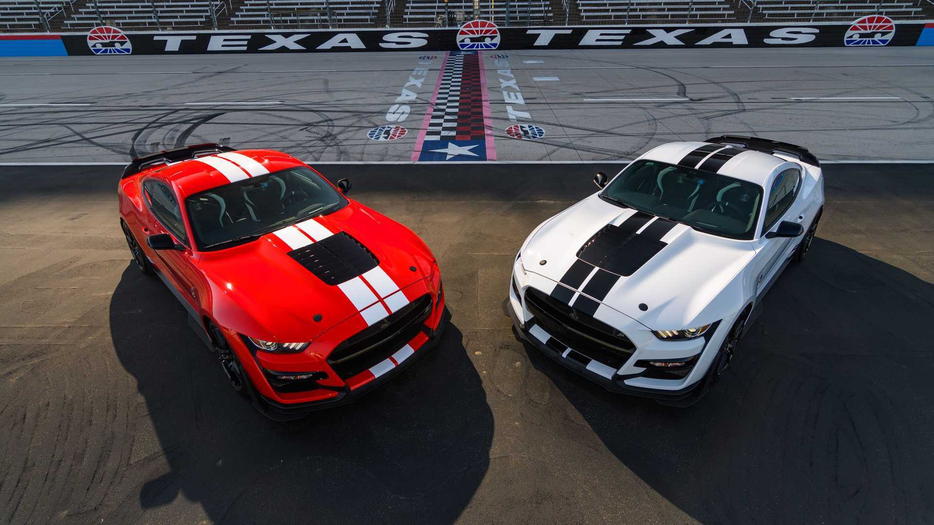 Ford украсил Mustang Shelby GT500 деталями из углеволокна — Motor