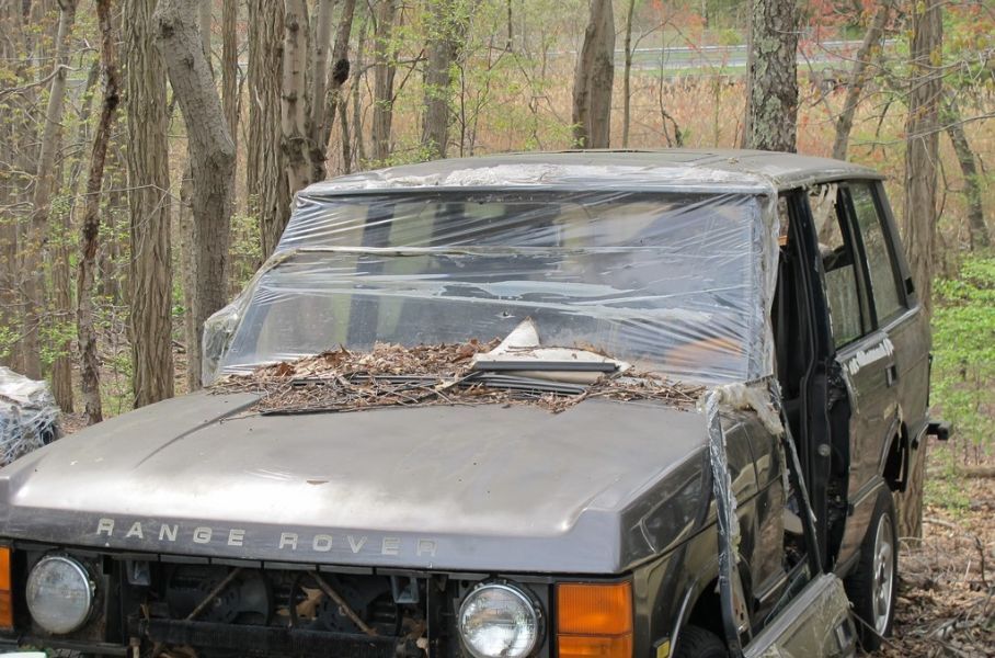 Посмотрите на кладбище старых Range Rover, которое оценили в 5,2 миллиона рублей