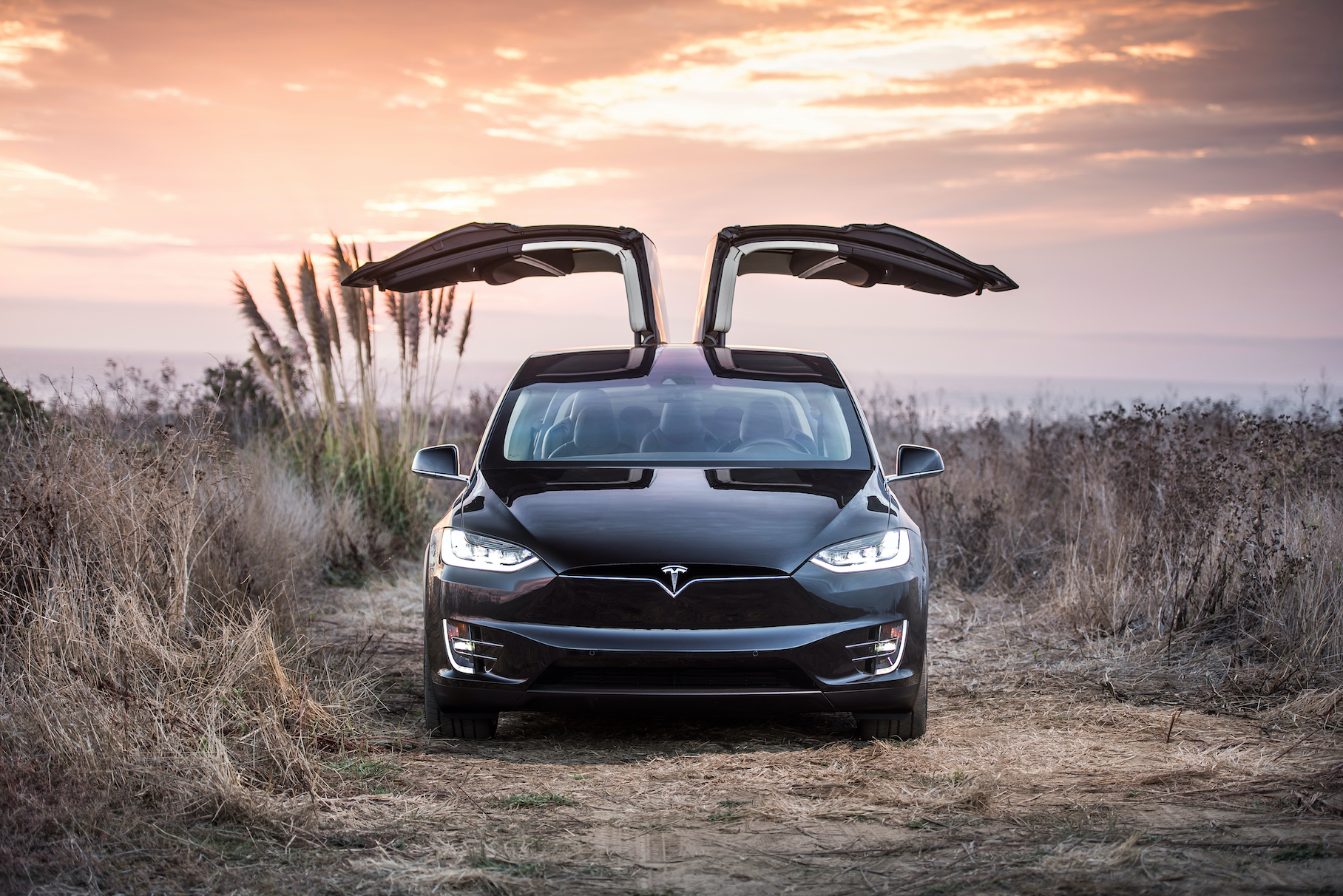 Видео: Tesla Model X на бездорожье оказалась хуже кроссовера Fiat Panda
