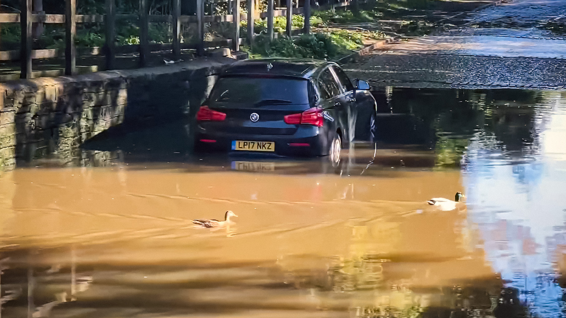 Видео: водители топят автомобили в глубокой луже на полной скорости — Motor