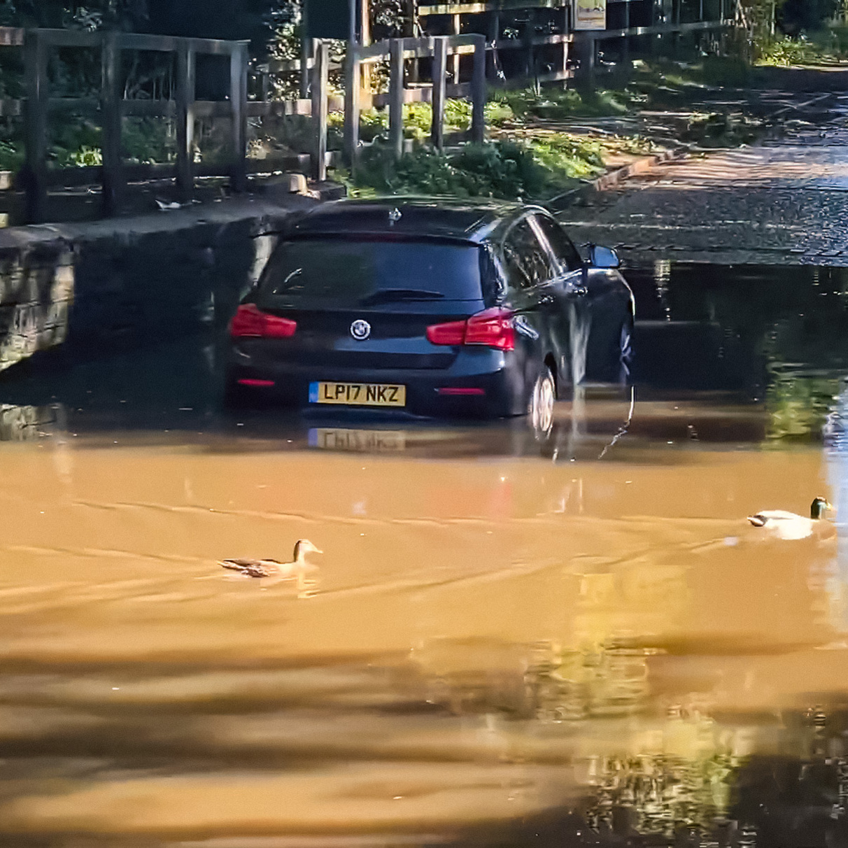 Видео: водители топят автомобили в глубокой луже на полной скорости — Motor