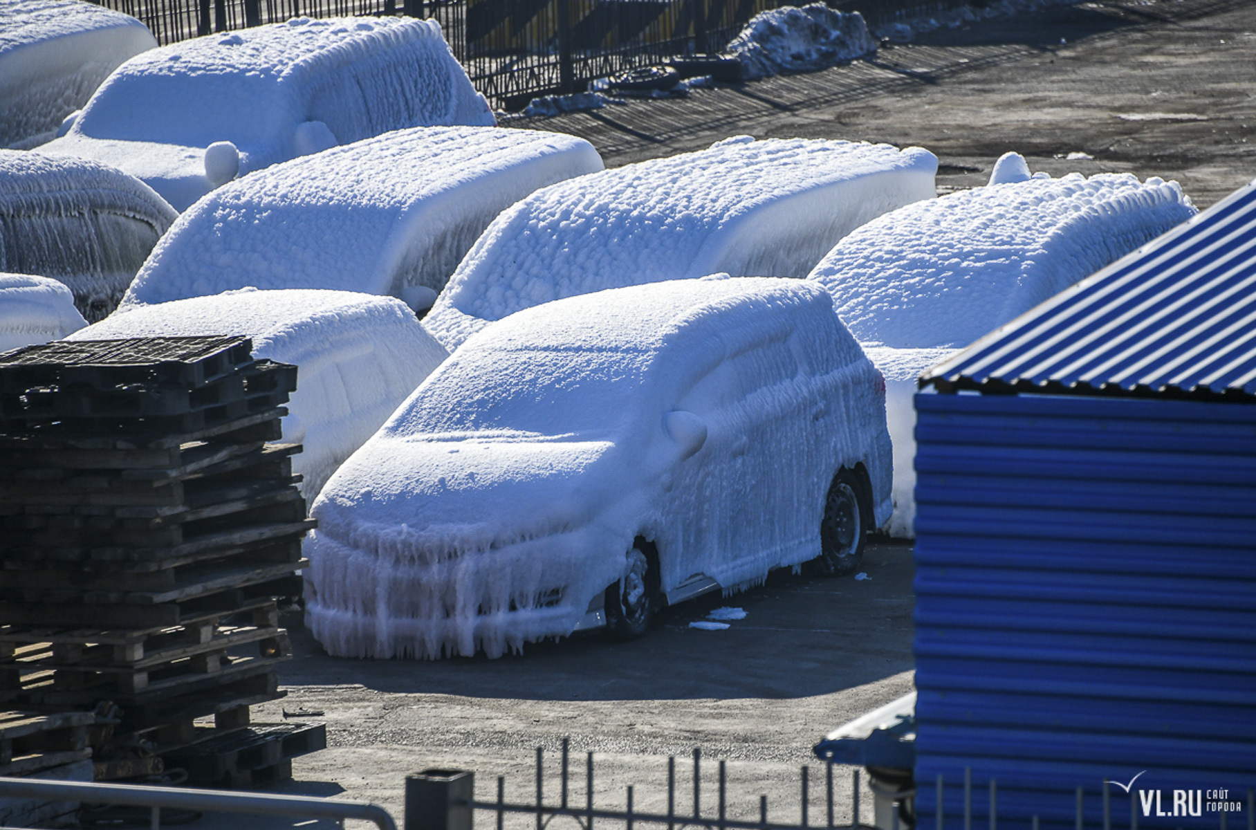 Видео: как выглядит вблизи один из замерзших автомобилей во Владивостоке