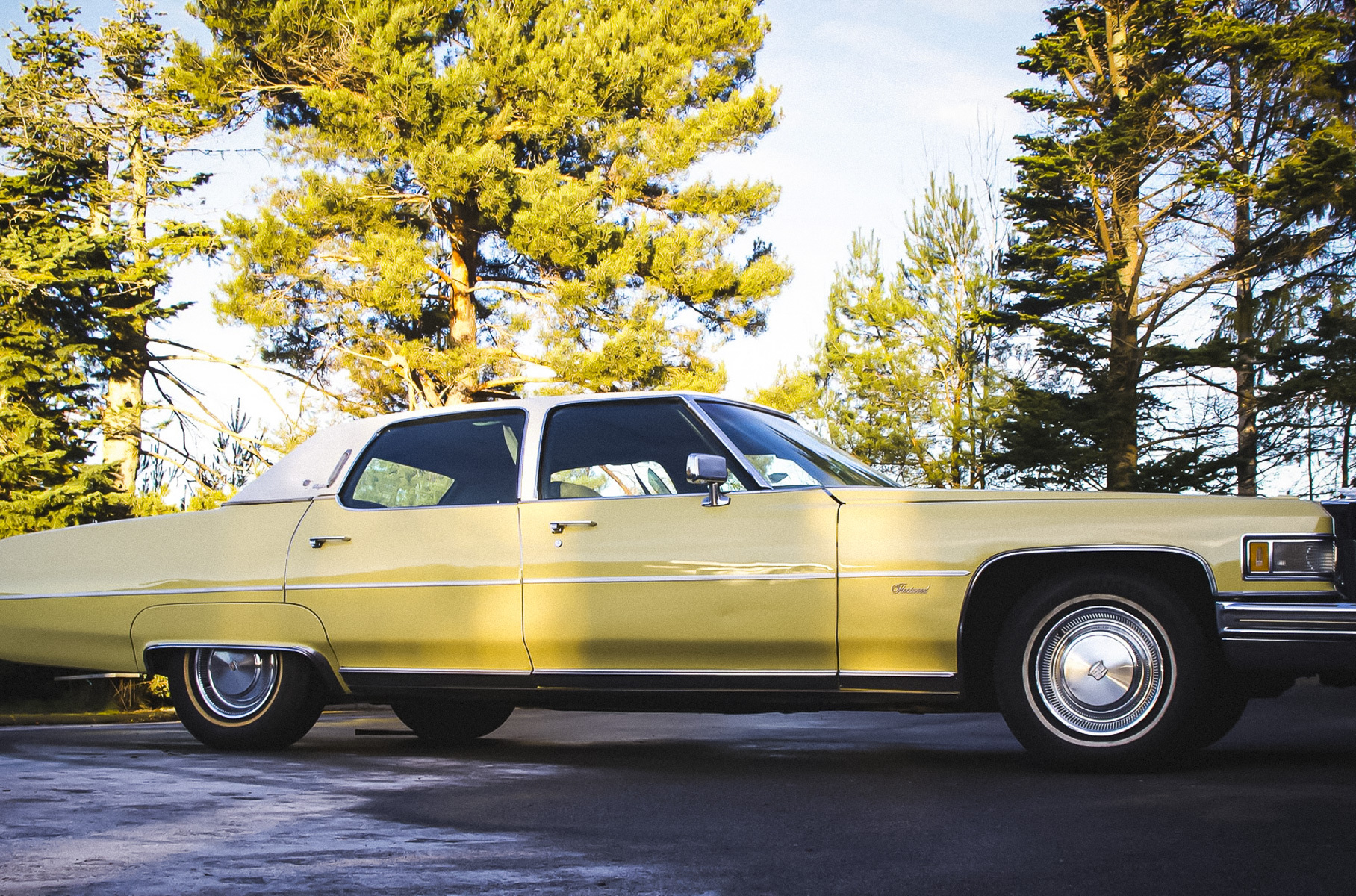 Cadillac Fleetwood Элвиса Пресли выставили на аукцион