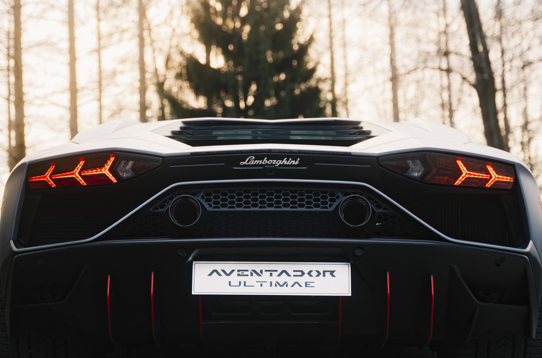 Негибридные дорожные Lamborghini c V12 после Aventador Ultimae в Санта-Агата-Болоньезе выпускать не планируют. Но трековые спецверсии без электродвигателя не исключены.