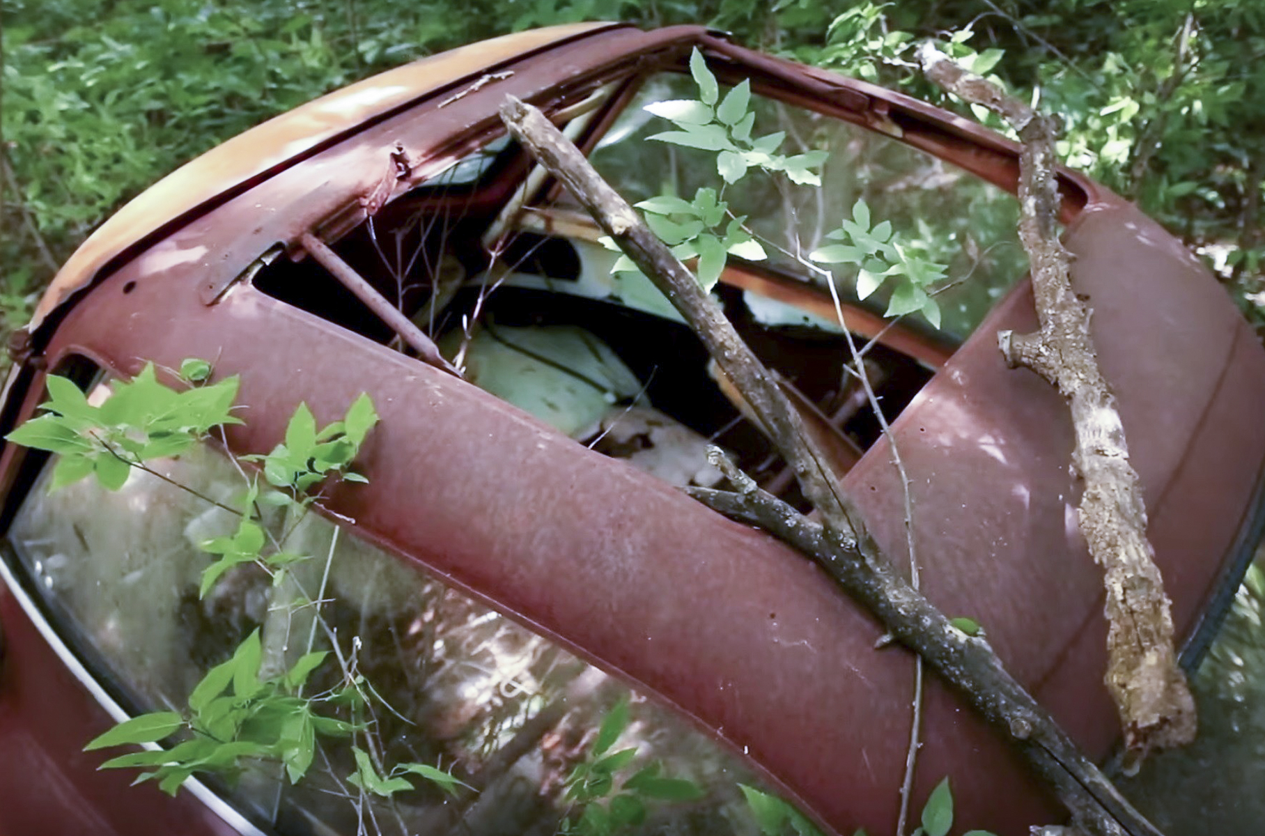 «Мертвую» BMW Isetta вернули на дороги после 40-летнего забвения в лесу