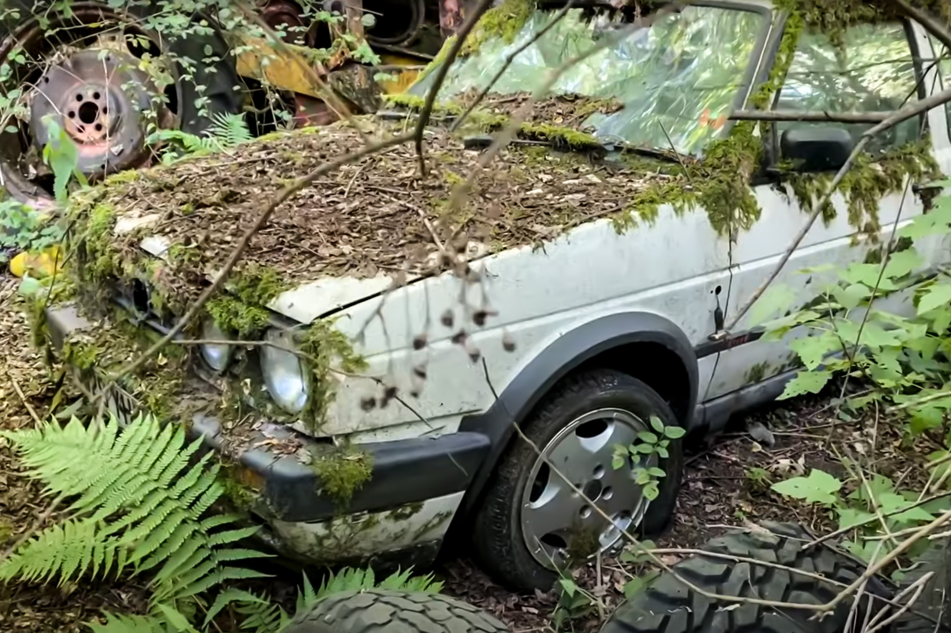 Видео: в лесу нашли коллекцию заброшенных автомобилей — Motor