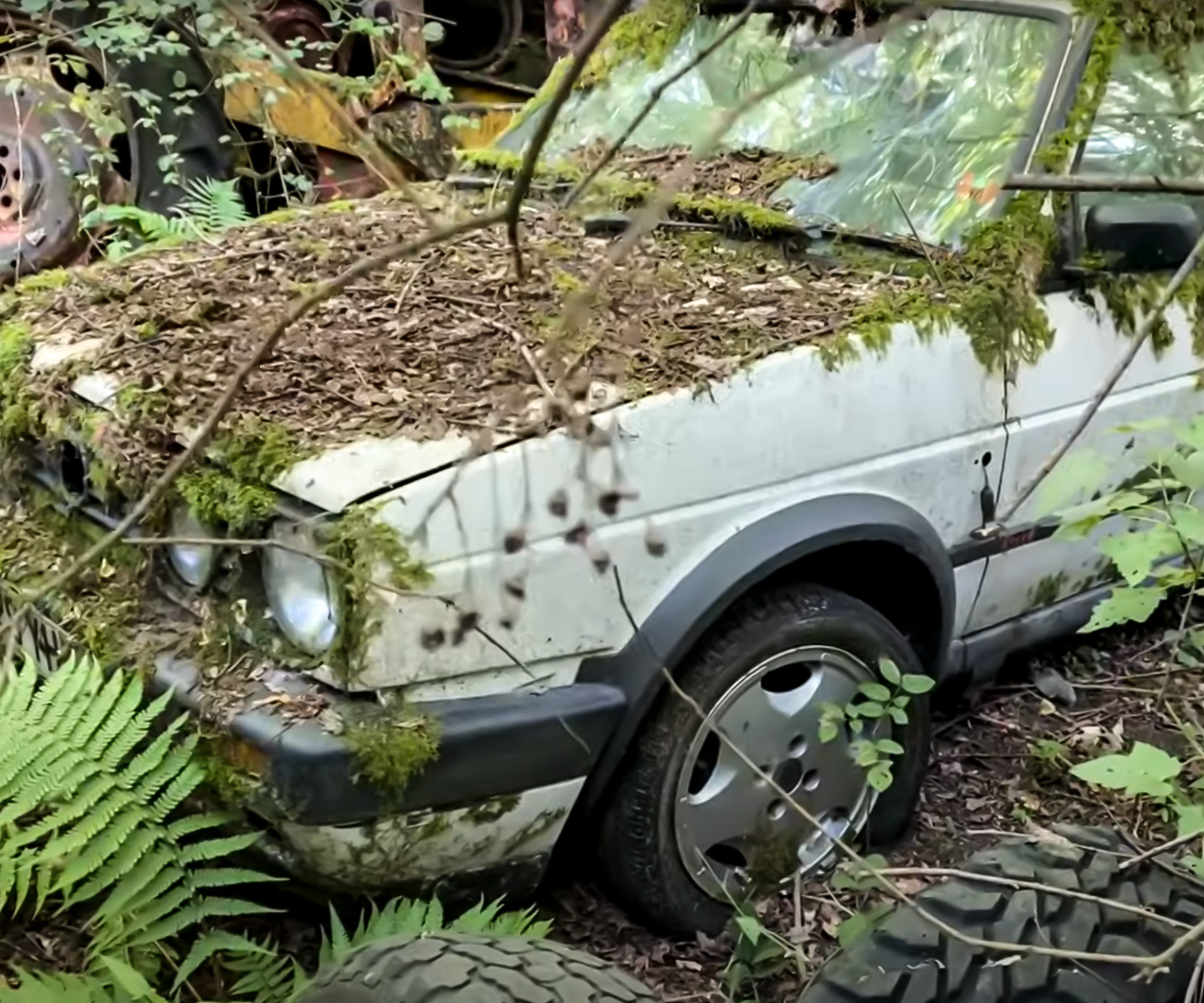 Видео: в лесу нашли коллекцию заброшенных автомобилей — Motor