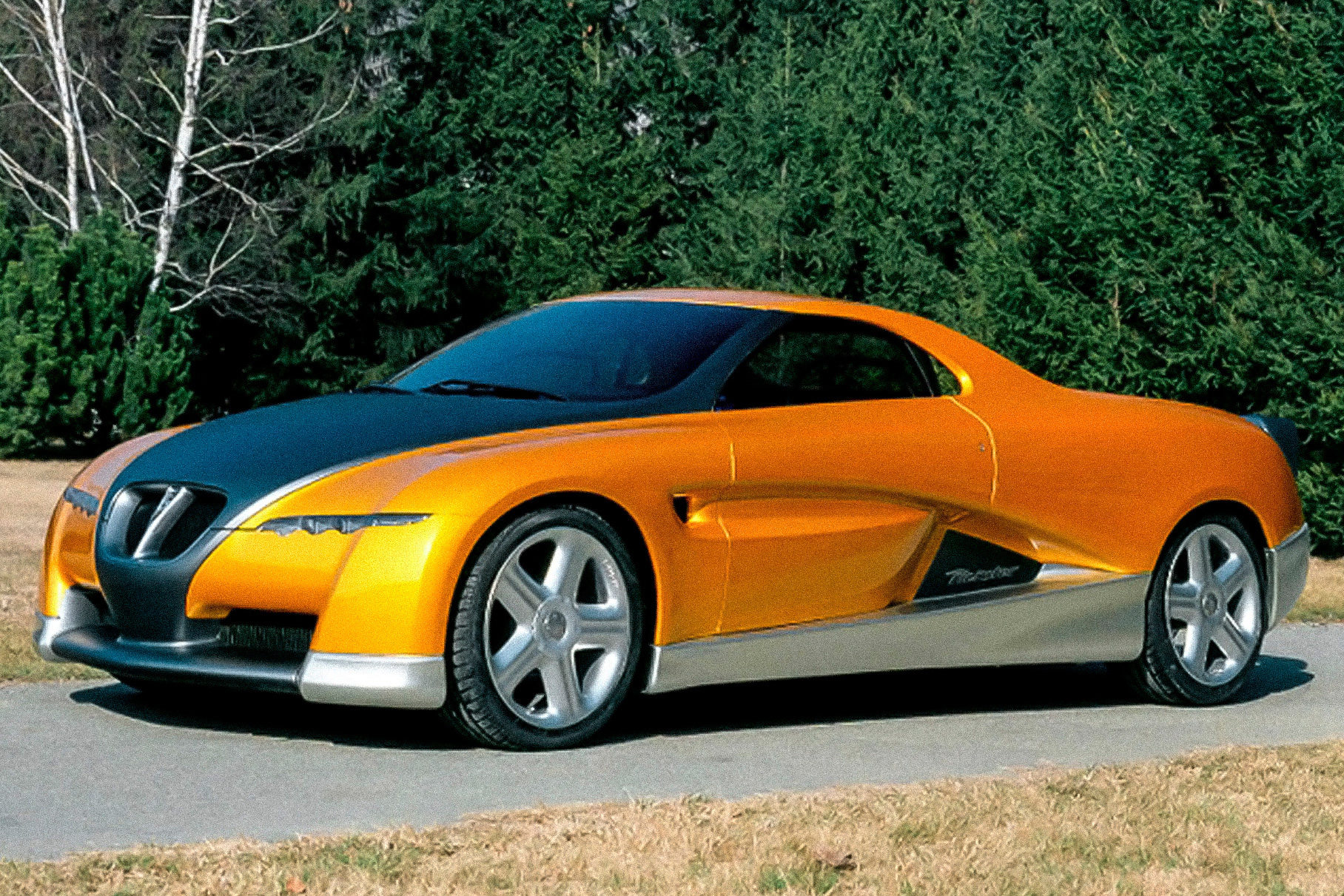 Bertone Birusa 2003