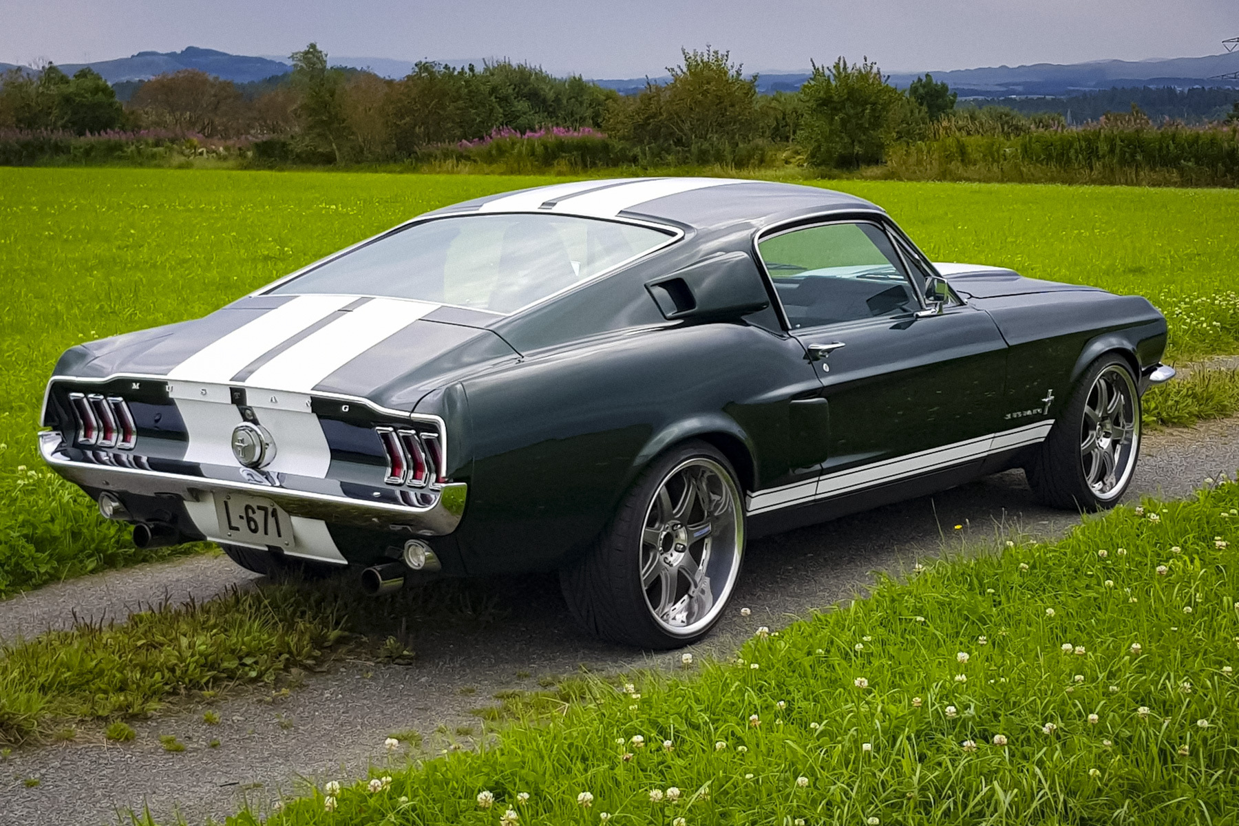 Ford Mustang 555