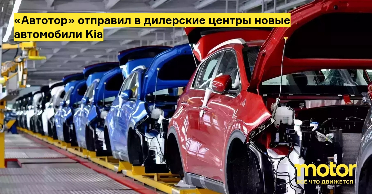 сколько дилер. количество автомобилей по годам. сколько дилеры автомобилей в россии. количество дилерских центров в россии. новые автомобили автосалон.