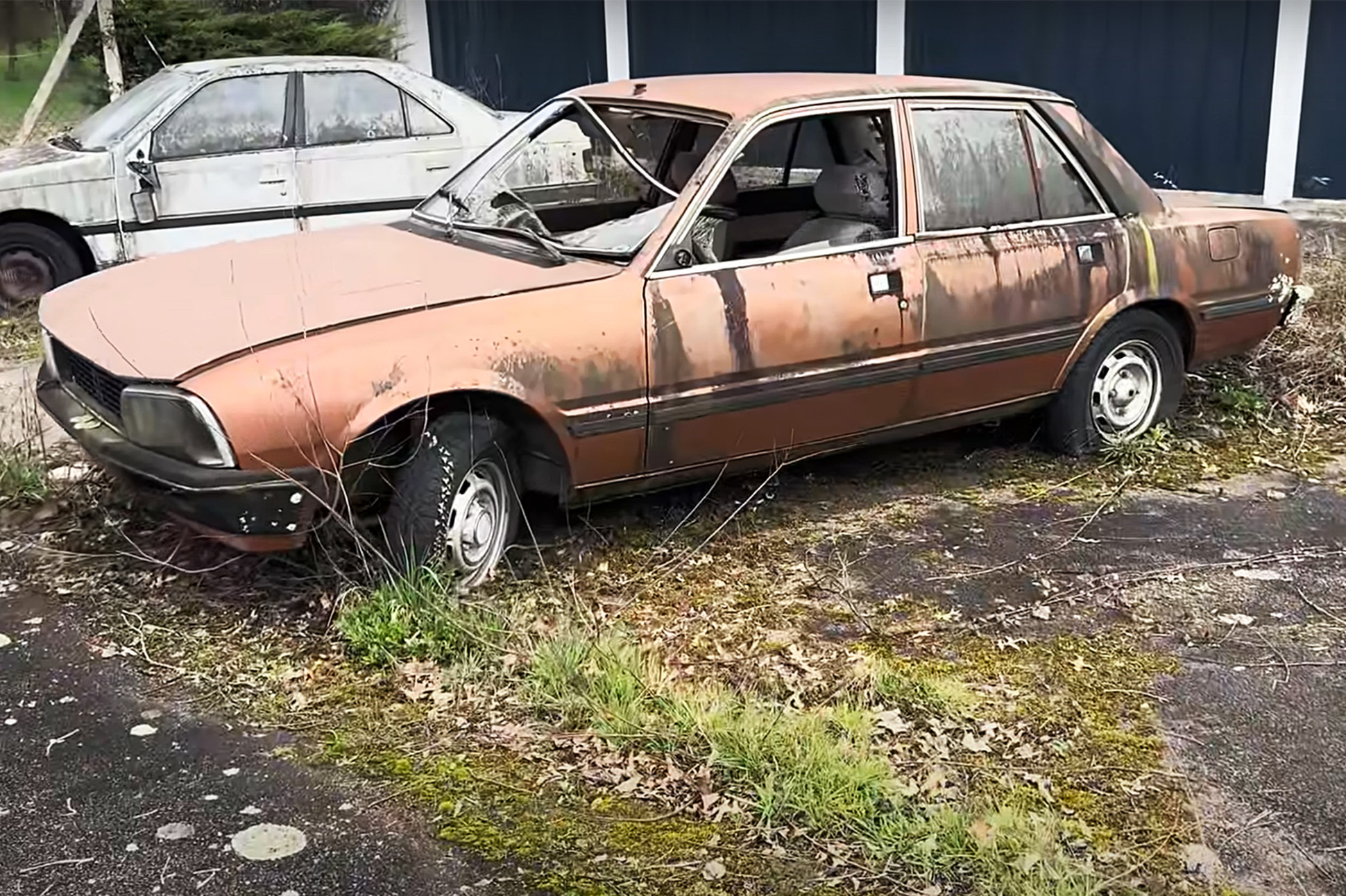 Видео: в бывшем автосалоне Peugeot обнаружили десятки заброшенных машин —  Motor