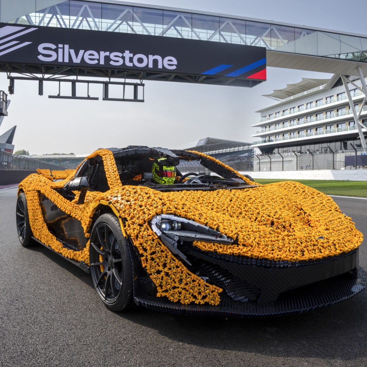 �������� ���� 2024