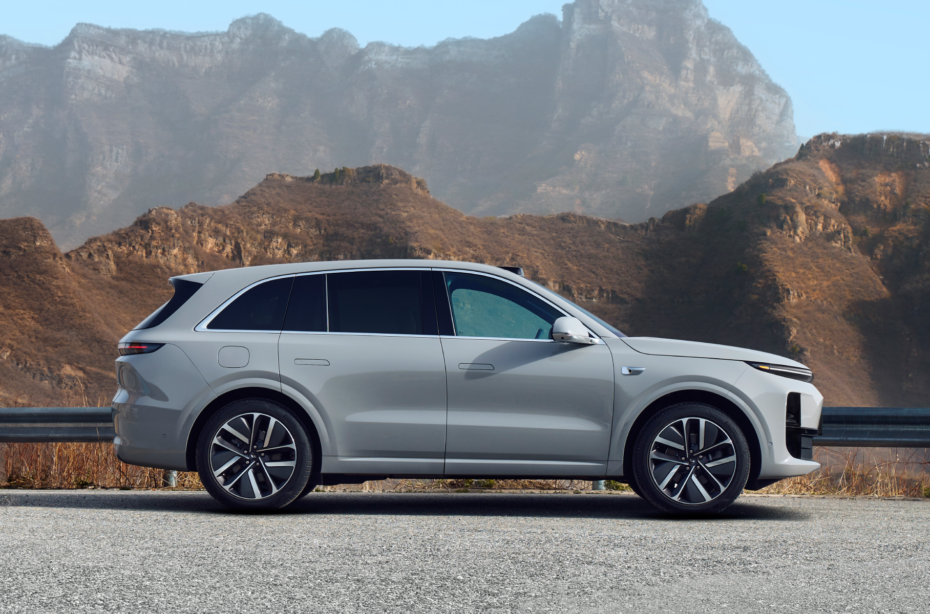 Ввезенные в Россию серые Li Auto могут превратиться в кирпичи