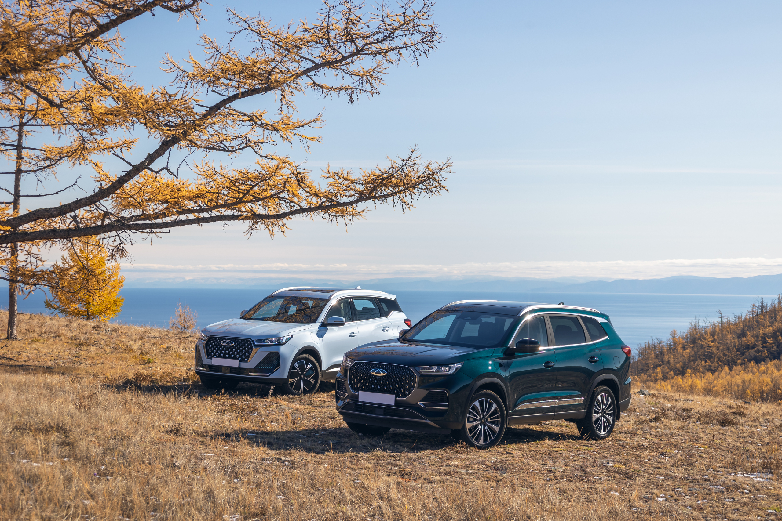 Автостат: только каждый 15-й россиянин пересел на китайский автомобиль