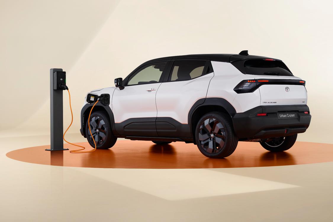 ������ ����� ������ 2024
