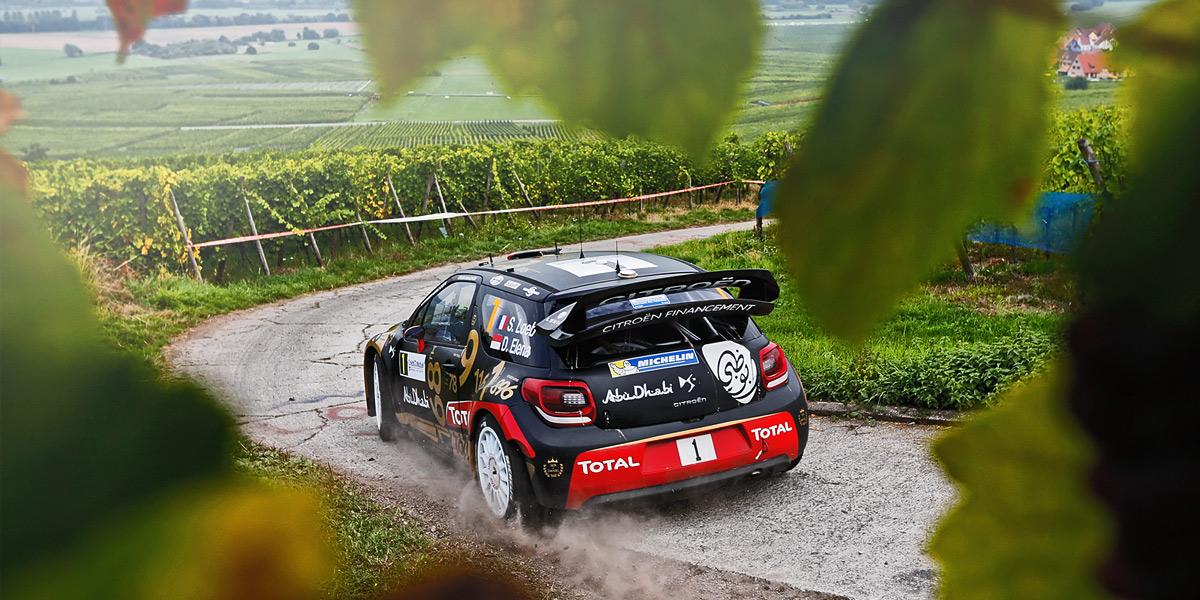 Фото команд