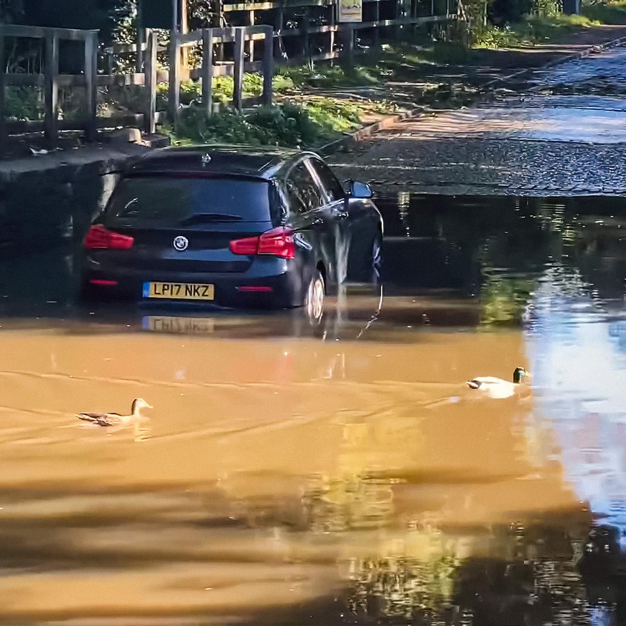 Видео: водители топят автомобили в глубокой луже на полной скорости — Motor