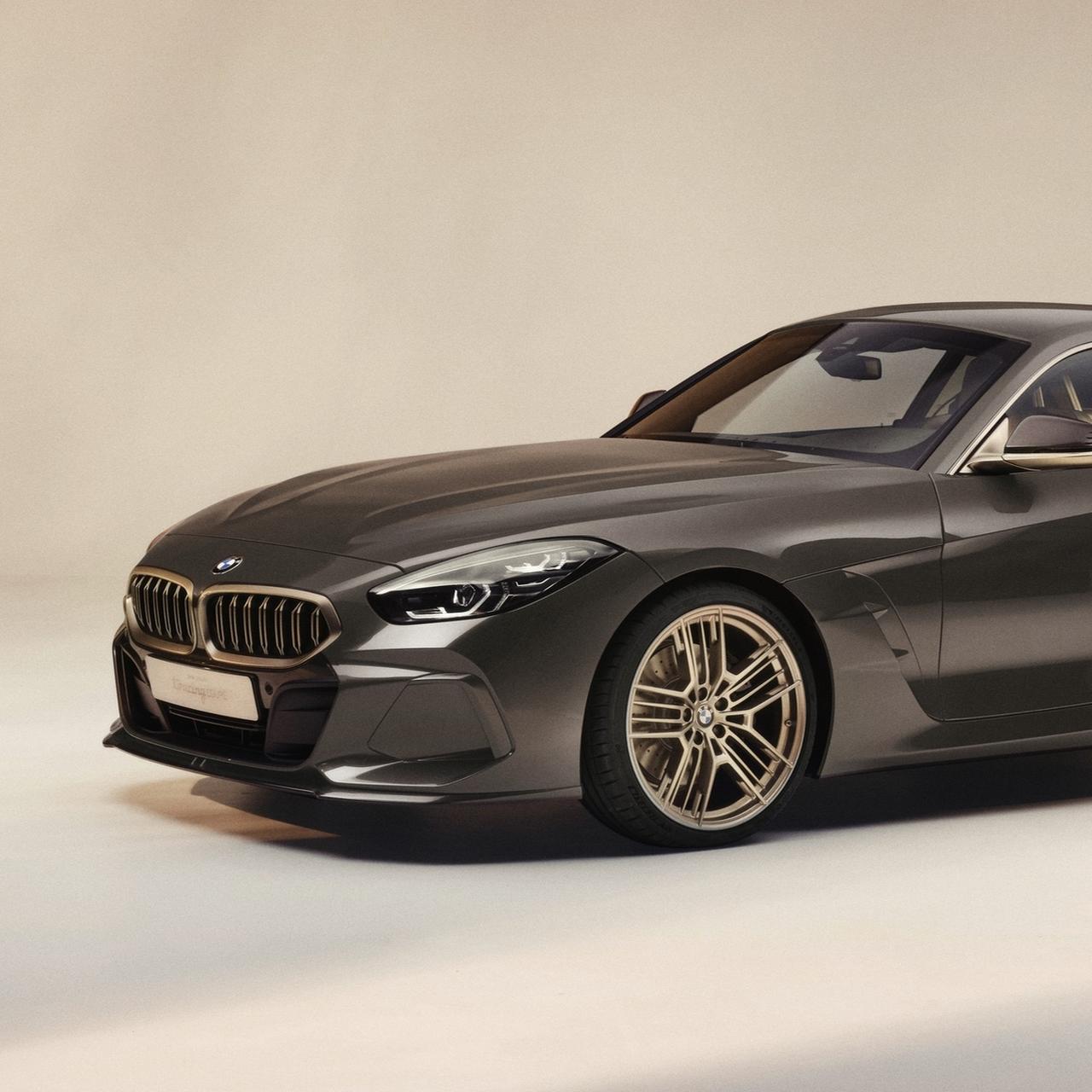 Bmw z concept shop