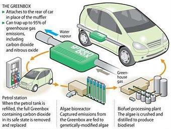 Британские химики научились превращать выхлопные газы в биотопливо — Motor