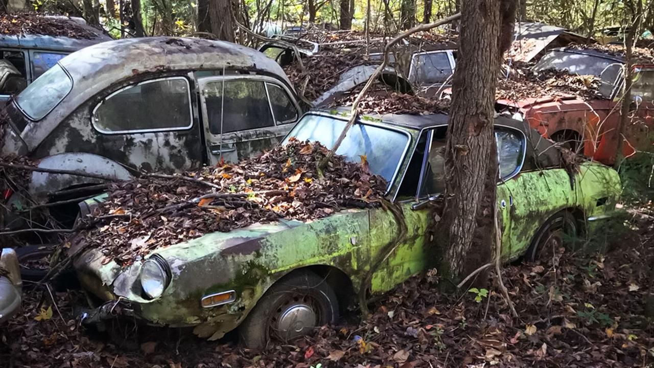 В лесу обнаружили гигантское кладбище классических автомобилей — Motor