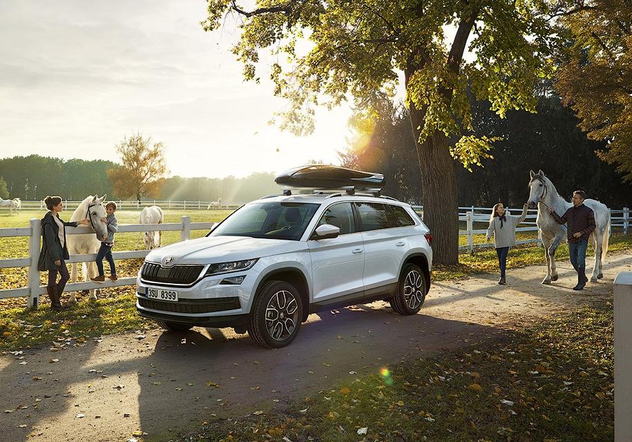 Skoda Kodiaq будут собирать в Нижнем Новгороде — Motor
