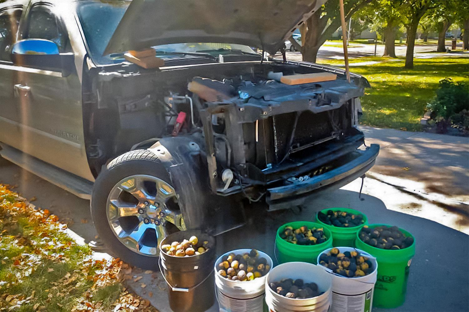 Белки устроили склад с грецкими орехами под капотом пикапа Chevrolet — Motor