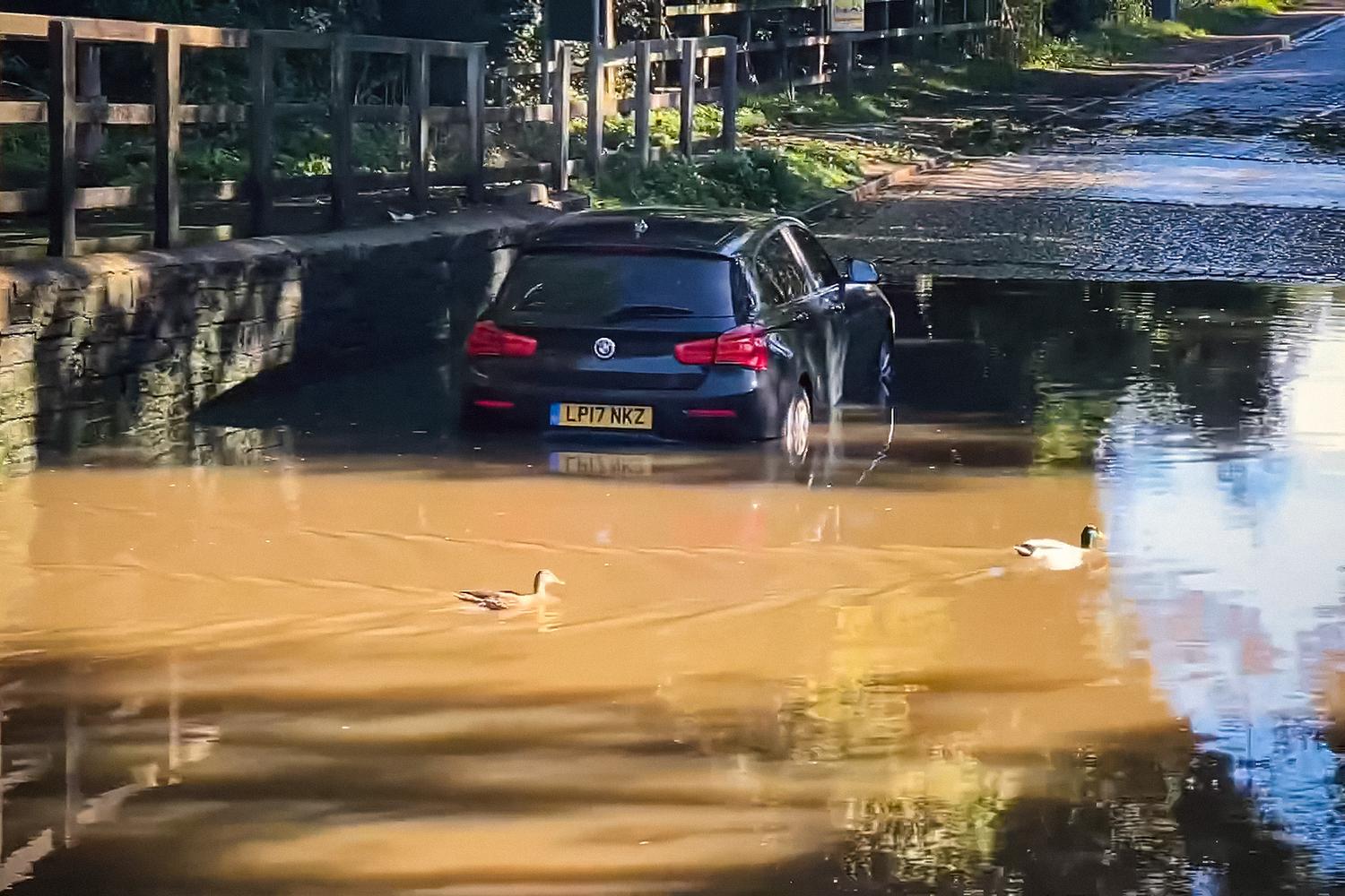 Видео: водители топят автомобили в глубокой луже на полной скорости — Motor