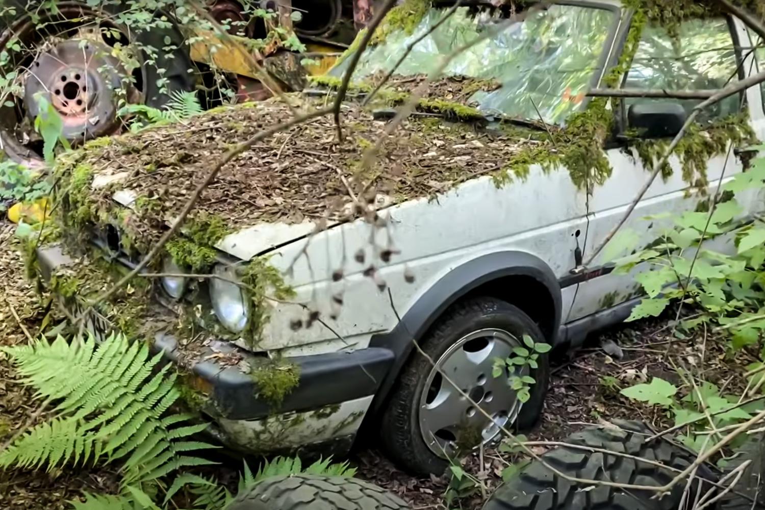 Видео: в лесу нашли коллекцию заброшенных автомобилей — Motor