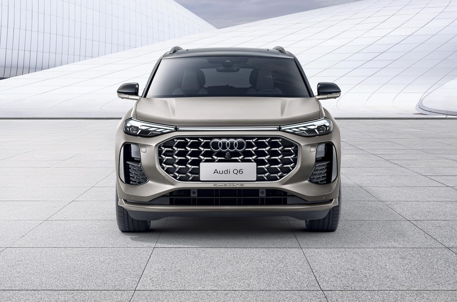   Audi Q6     Motor