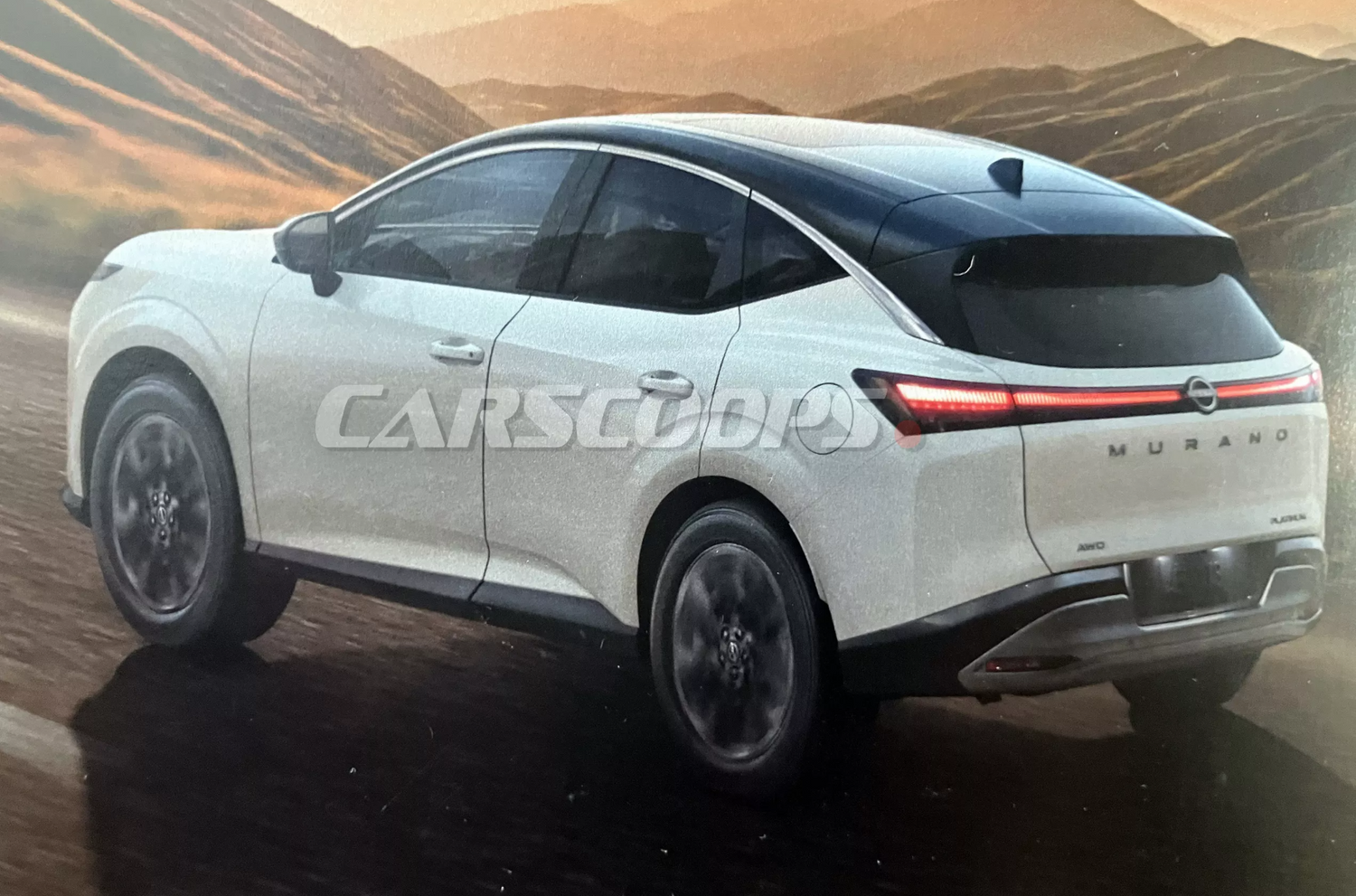������ ������ 2024