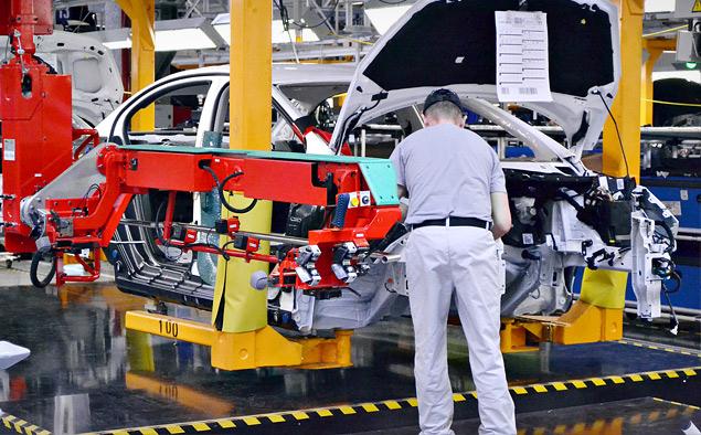 Крупная рыба