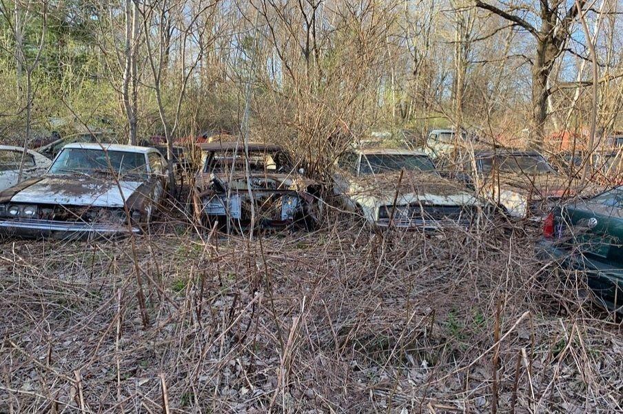 В лесу обнаружили кладбище полувековых Dodge Charger
