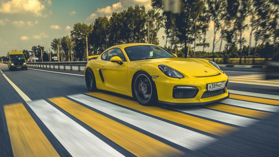 Крокодилы --не летают