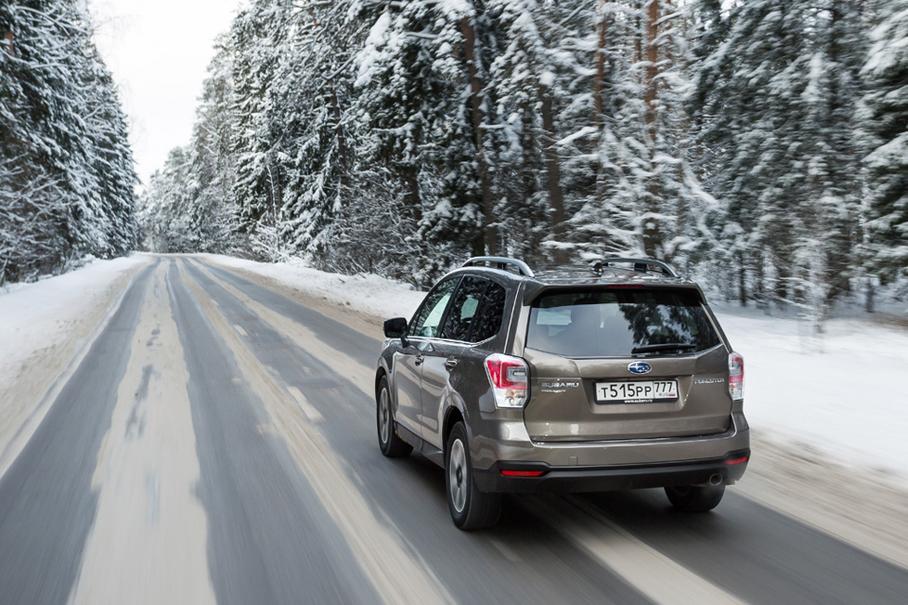 И пришел лесник