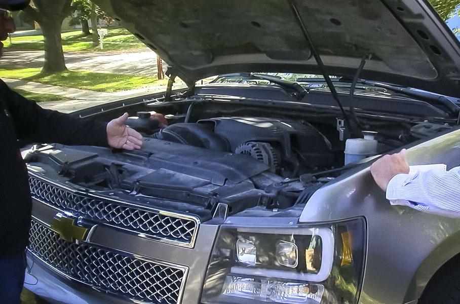 Белки устроили склад с грецкими орехами под капотом пикапа Chevrolet