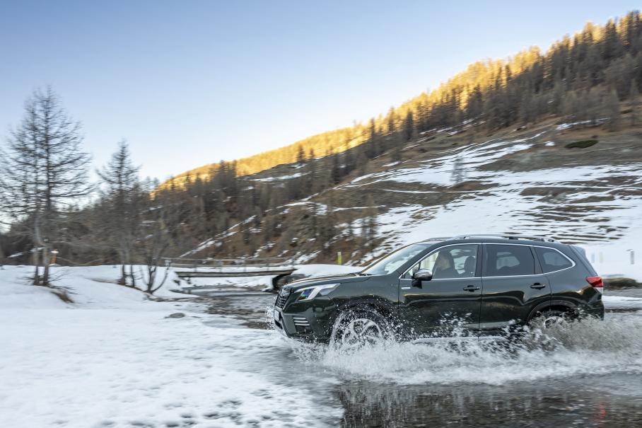 Subaru продолжила поставлять автомобили в Россию и сохранила цены