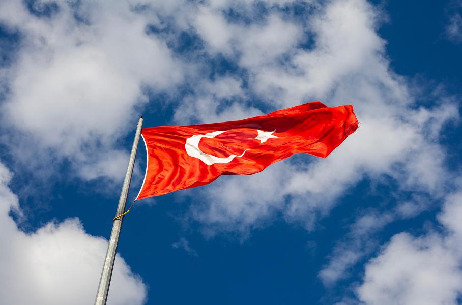 В Турции вдвое подорожают китайские электромобили