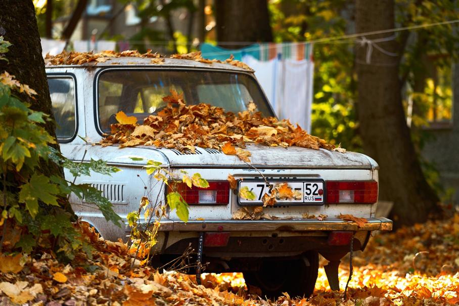Москвичи могут бесплатно отдать городу ненужные автомобили