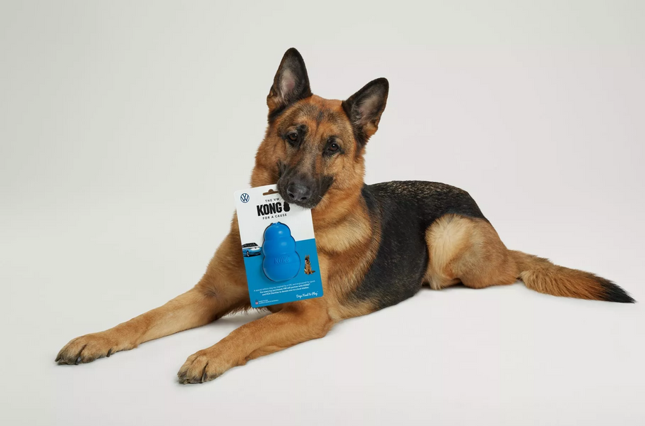 Volkswagen посвятил игрушку для собак электрическому ID. Buzz