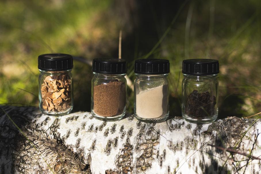 Шину из березовой коры создала компания Nokian