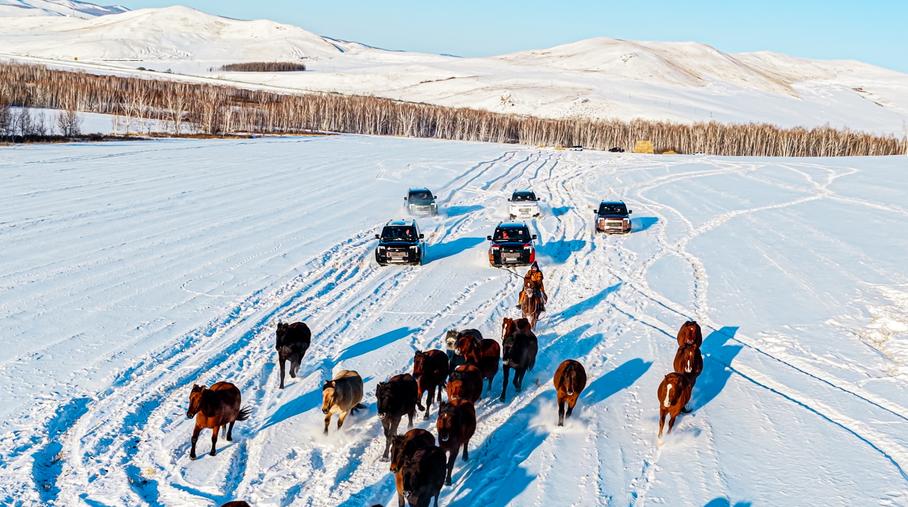 Тест-драйв Rox Adamas