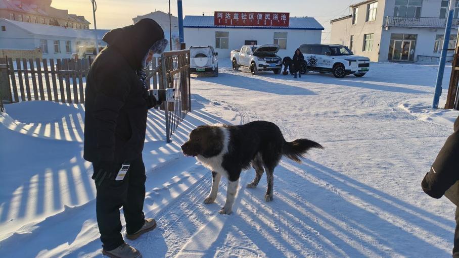 Тест-драйв Rox Adamas